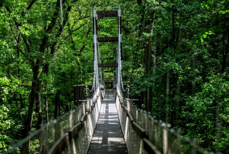 Hidden Lake Gardens, United States